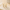 Aretes Lumina -Aretes VERYSA